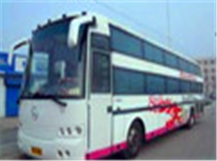 郑州到柳林的大巴%乘车至柳林长途线路