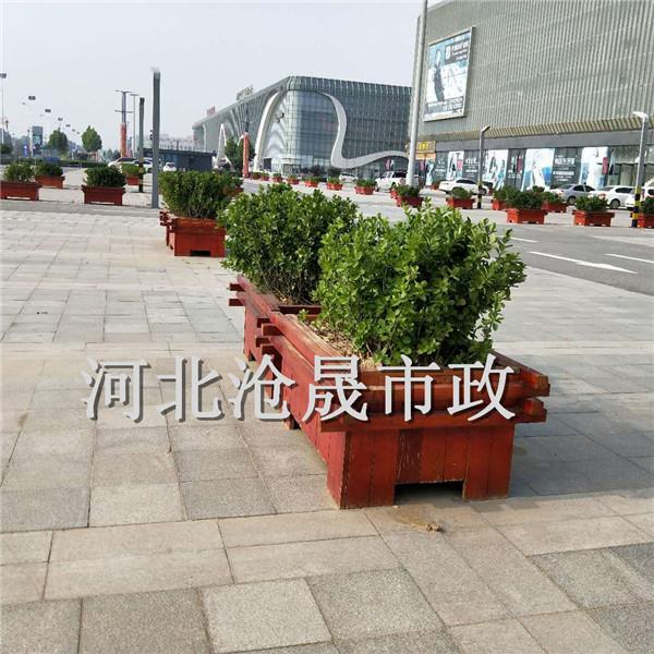 兴安盟防腐木花箱沧晟 花箱厂家