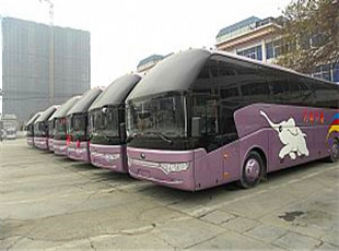龙港客运-郑州到龙港的汽车长途大巴-发车