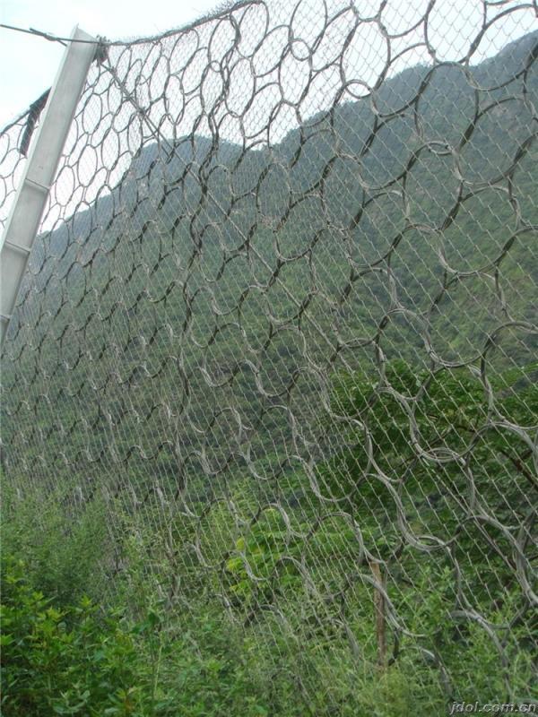 玉树环形被动网厂家