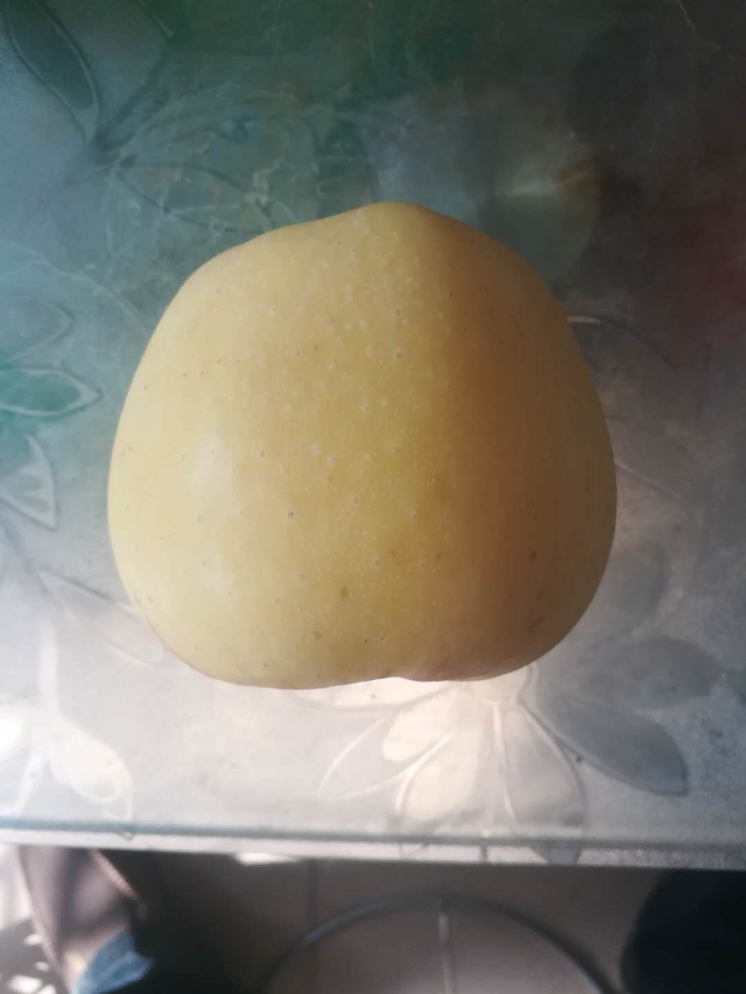 广元苹果树苗