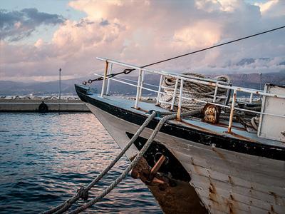 河南供应湖泊海洋渔业资源评估哪家专业