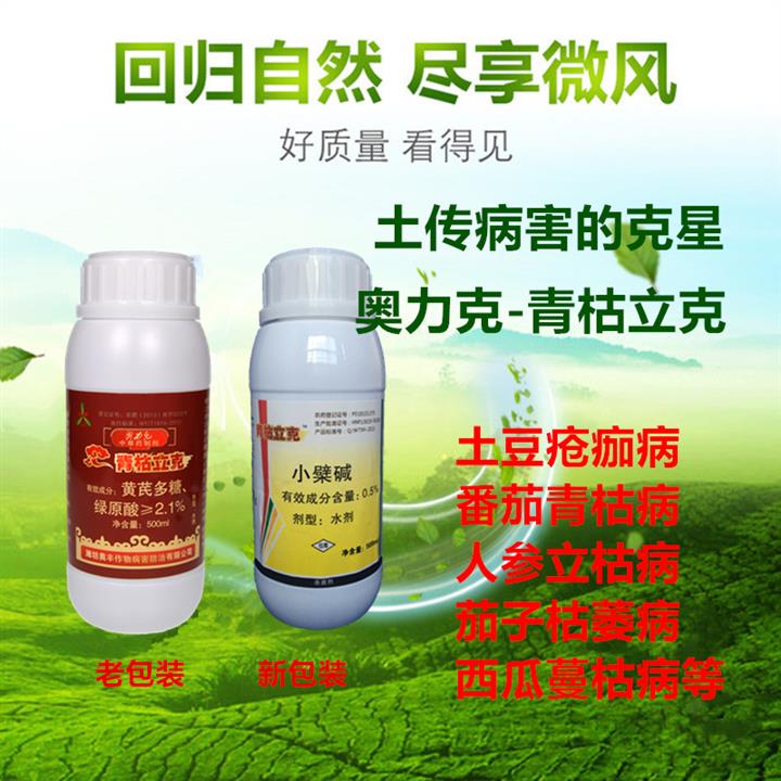 怎样**草莓红根病