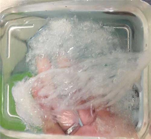 燕窝进口报关流程