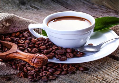 上海咖啡进口清关资料