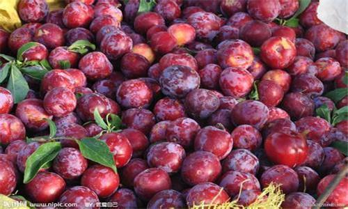 成都冷冻水果进口清关代理|冷冻水果进口清关怎么操作