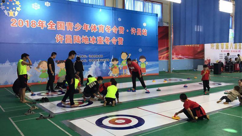 上海生產陸地冰壺廠家直銷