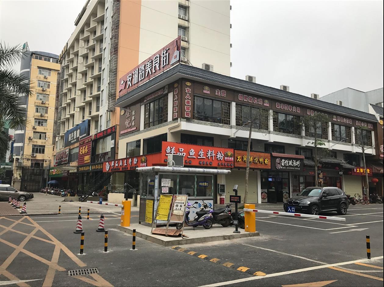 桂林市车牌识别系统电话