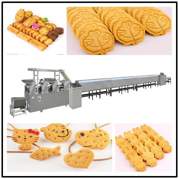 福建小馒头保健机能辅食饼干自动化生产线