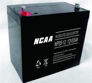 NCAA蓄電池NP65-12 船舶儲能