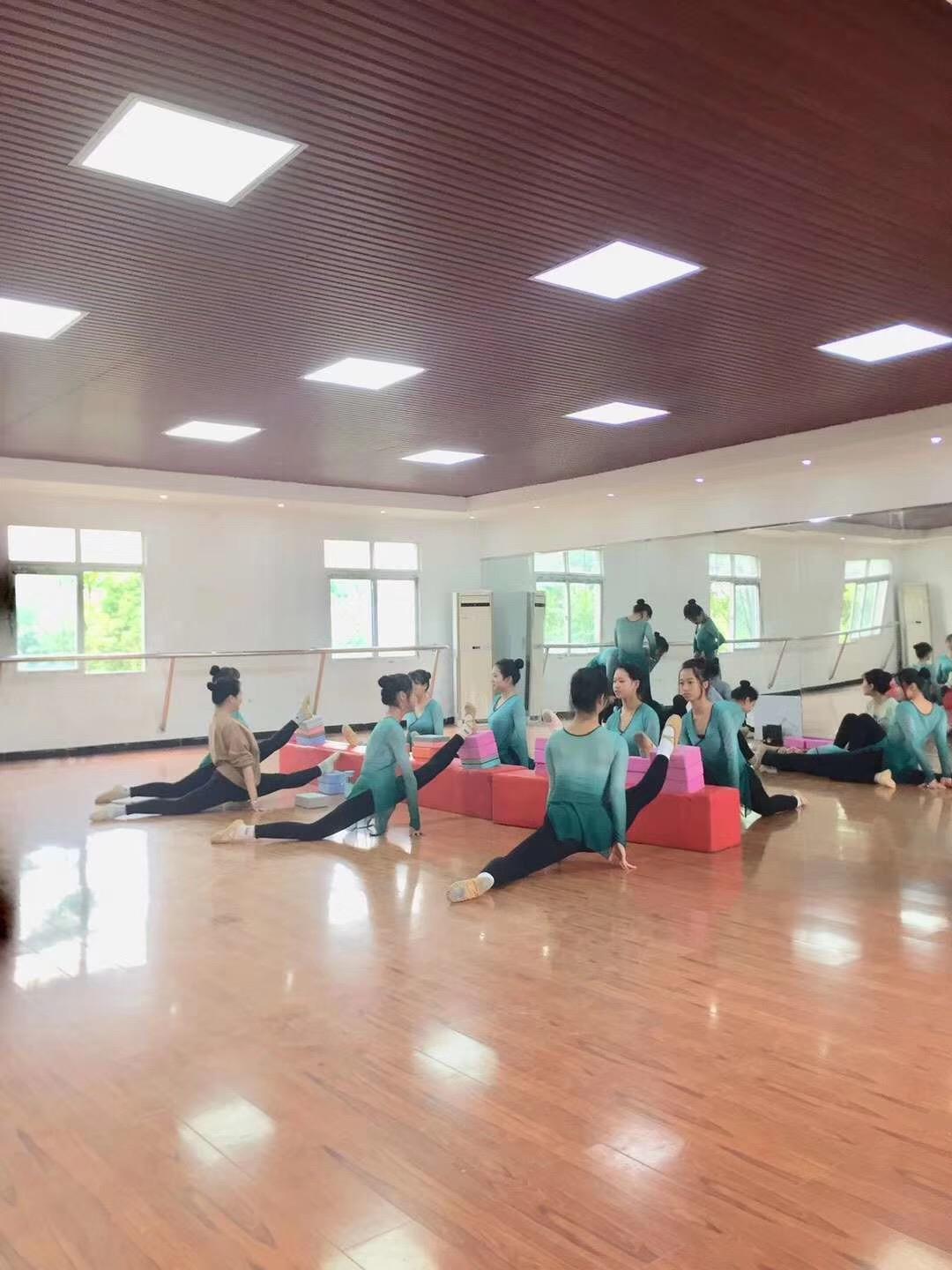 武汉艺术学校是什么性质的学校