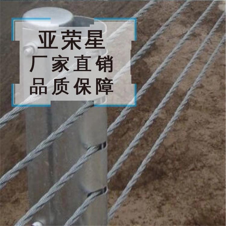 娄底供应缆索护栏