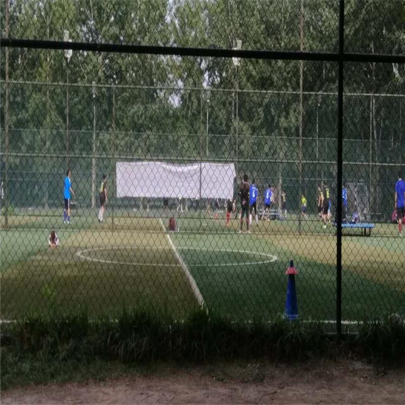 河北专用球场护栏价格