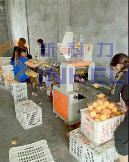 北京专业柠檬包装机