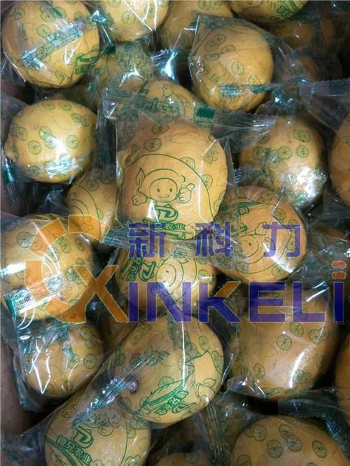 东莞新款柠檬包装机批发