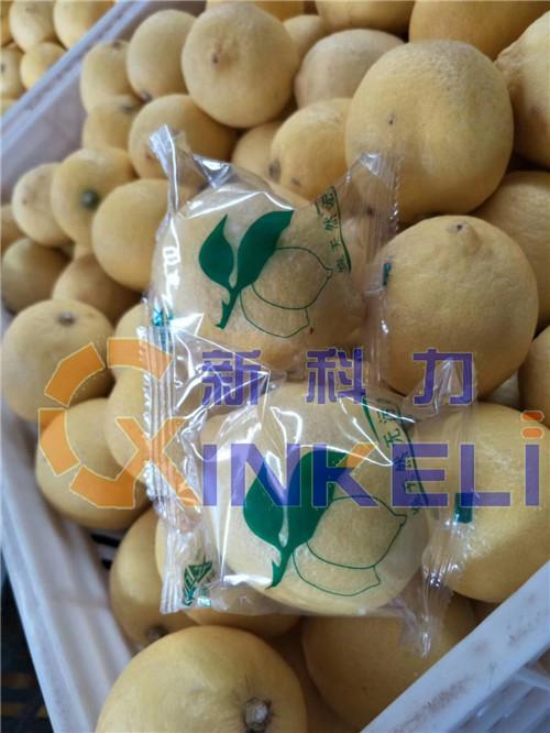北京现货柠檬包装机定制