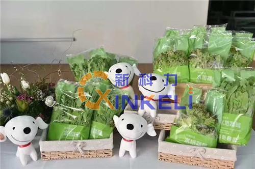 青岛蔬菜包装机生产商