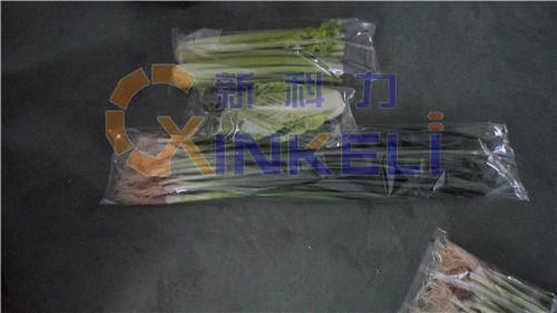 海口专业蔬菜包装机