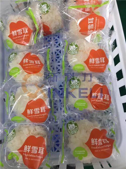 上海专业食用菌包装机