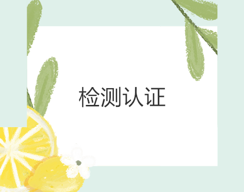 隔離器CNAS CMA檢測報告檢測項目