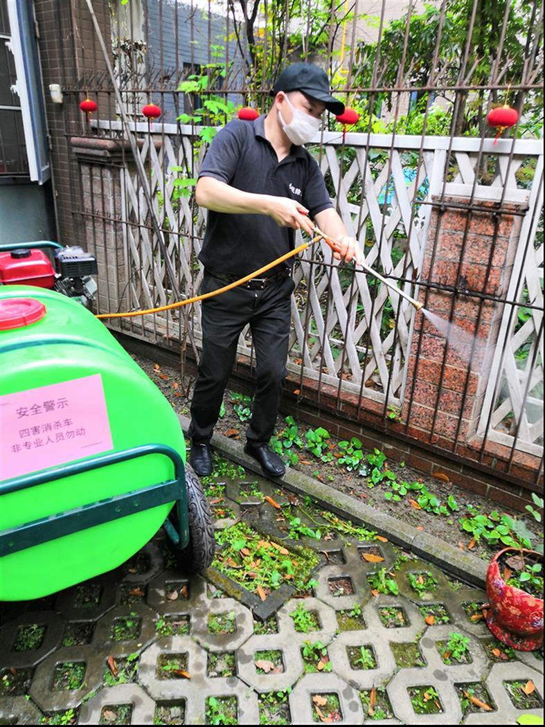 桂溪除虫电话