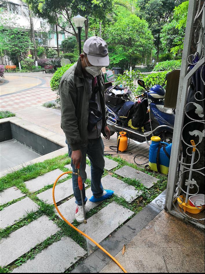 青龙灭白蚁单位