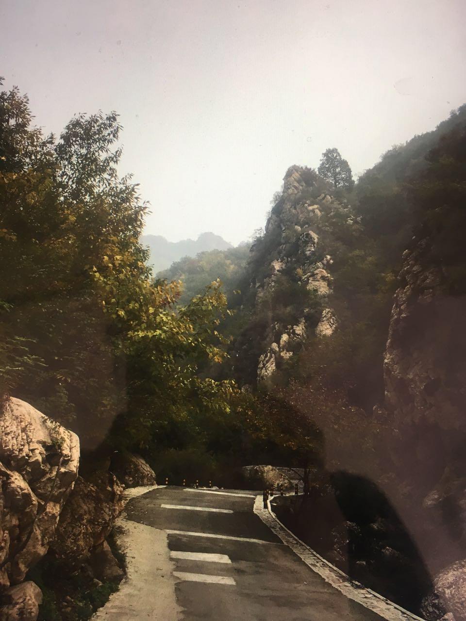 惠州混凝土修补专用胶生产商