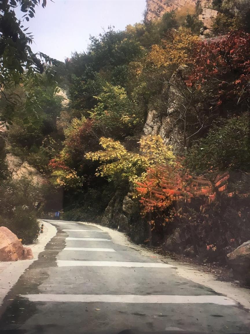 青岛混凝土修补专用胶厂