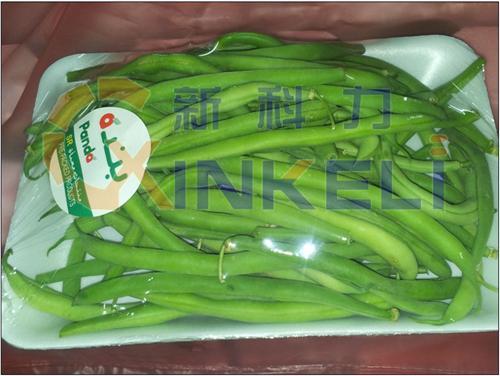 全新托盒蔬菜包装机供应商