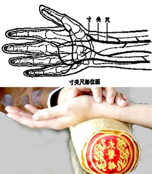 淮北中医脉诊 全新教学模式