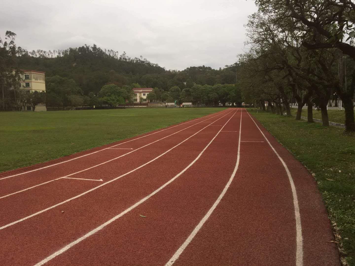 钦州市钦南区学校专用塑胶跑道跑道