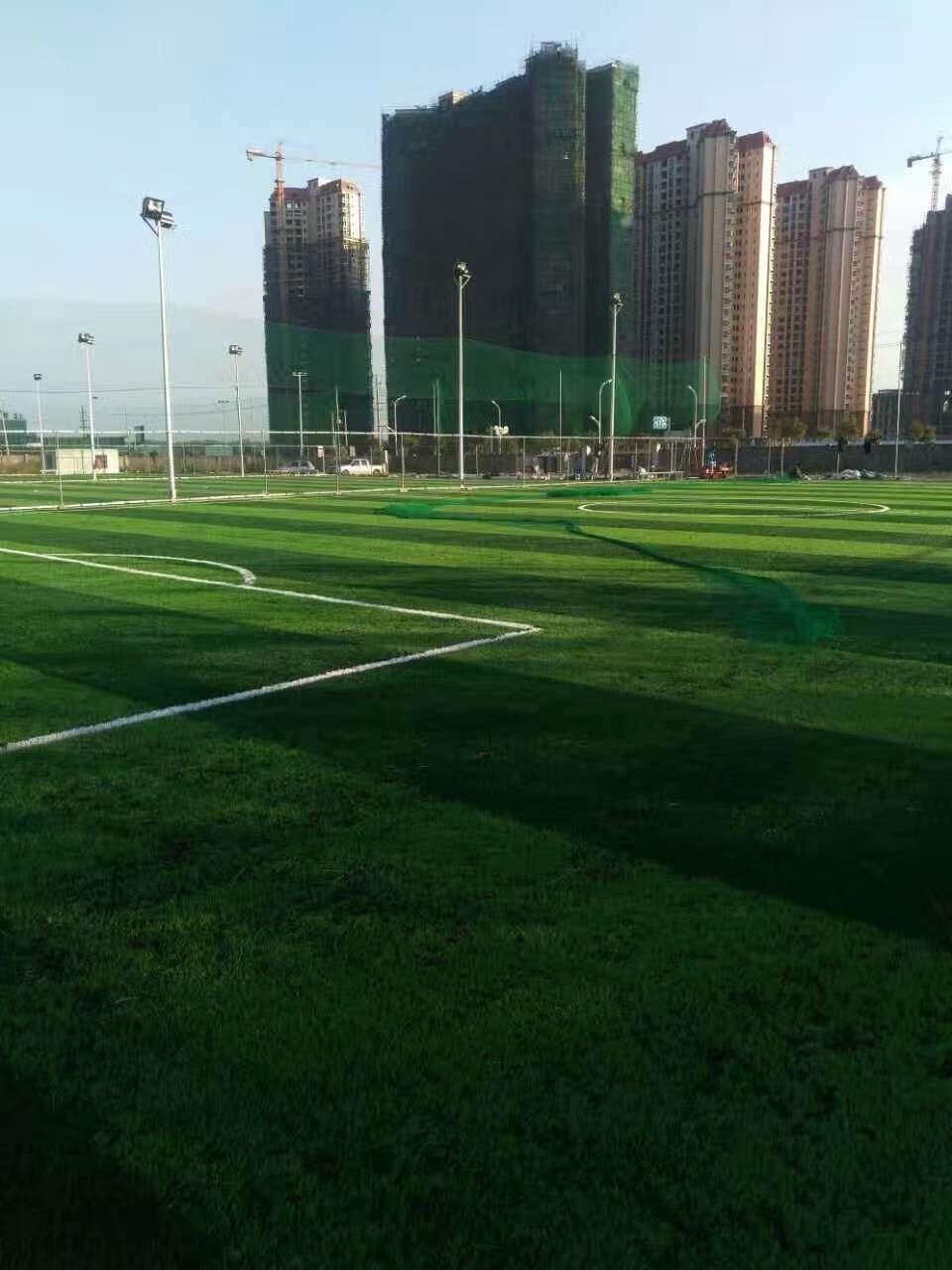 百色非标足球场草坪厂家