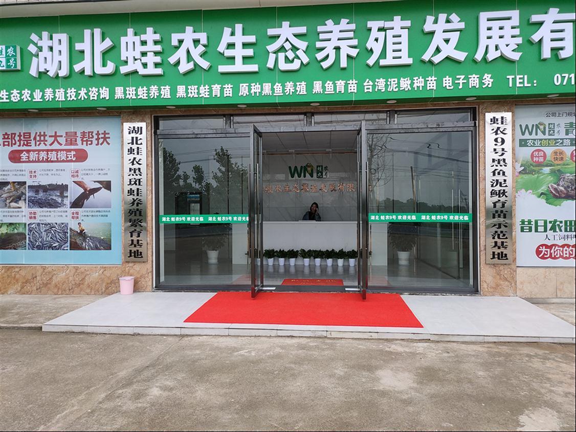 湘潭青蛙养殖基地