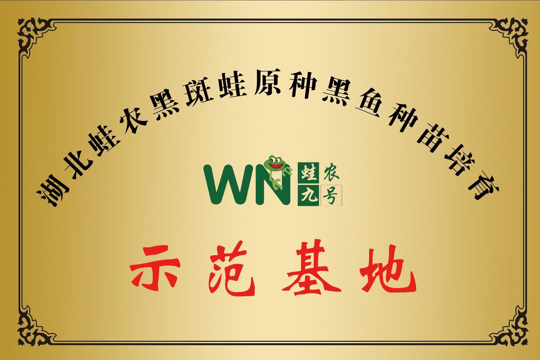 郴州养殖青蛙技术