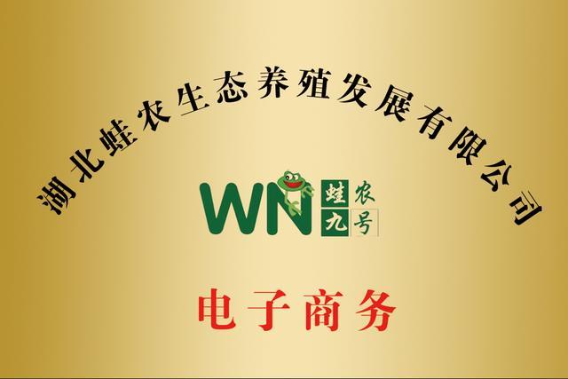 张家界养殖青蛙技术
