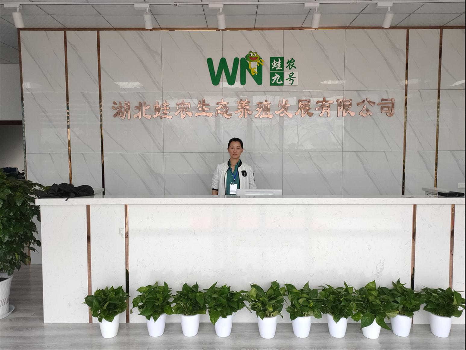 上海黑鱼苗的养殖技术定制