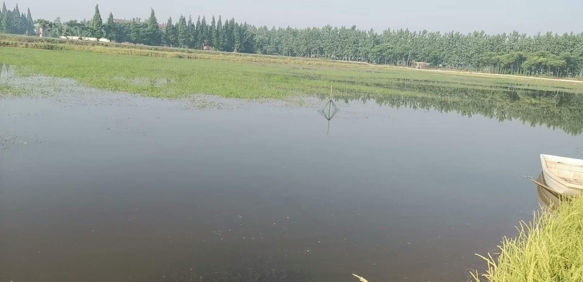 兰州龙虾养殖培训价格