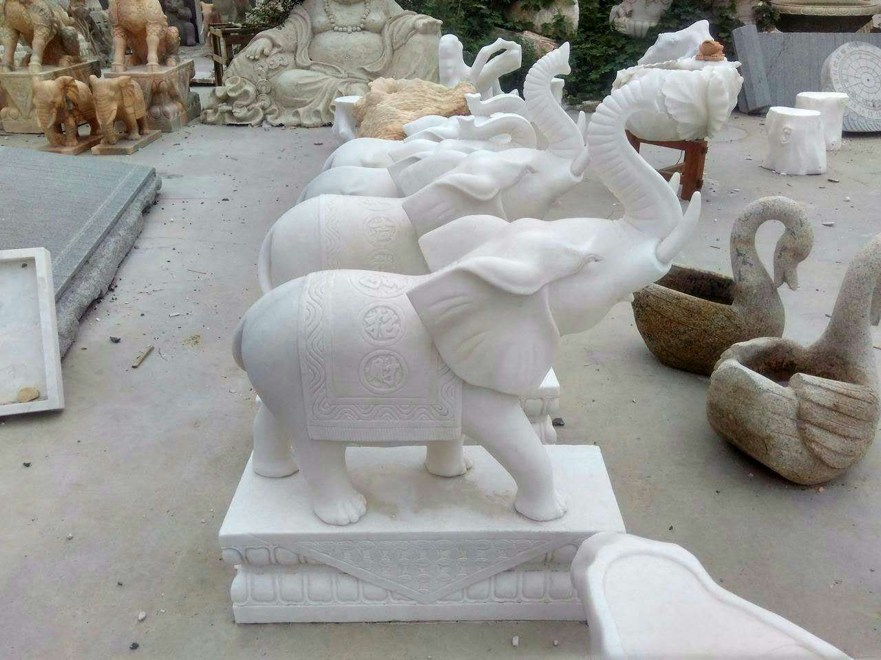 而且象牙还是供奉诸佛的七宝之一,普贤菩萨的坐骑就是六牙大白象