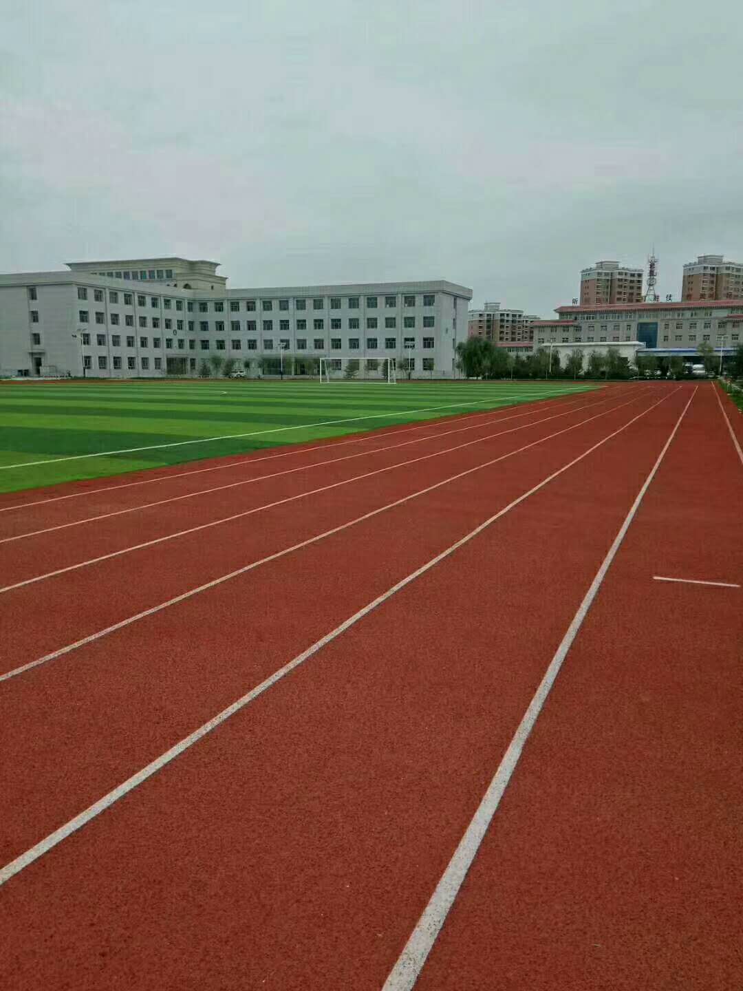 山西塑胶草坪