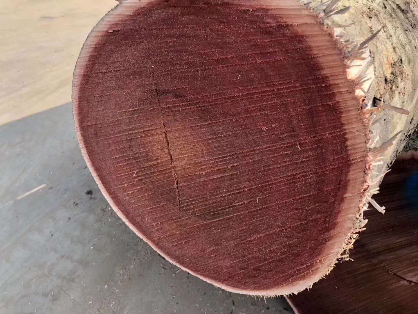 荆州柳桉木公司