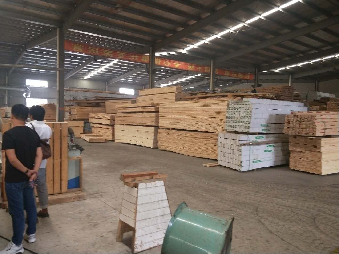 重庆红雪松批发价格