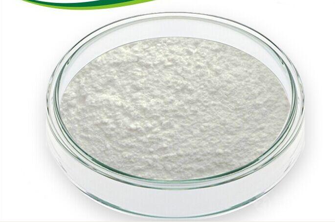 承德含量95%以上植物甾醇厂家