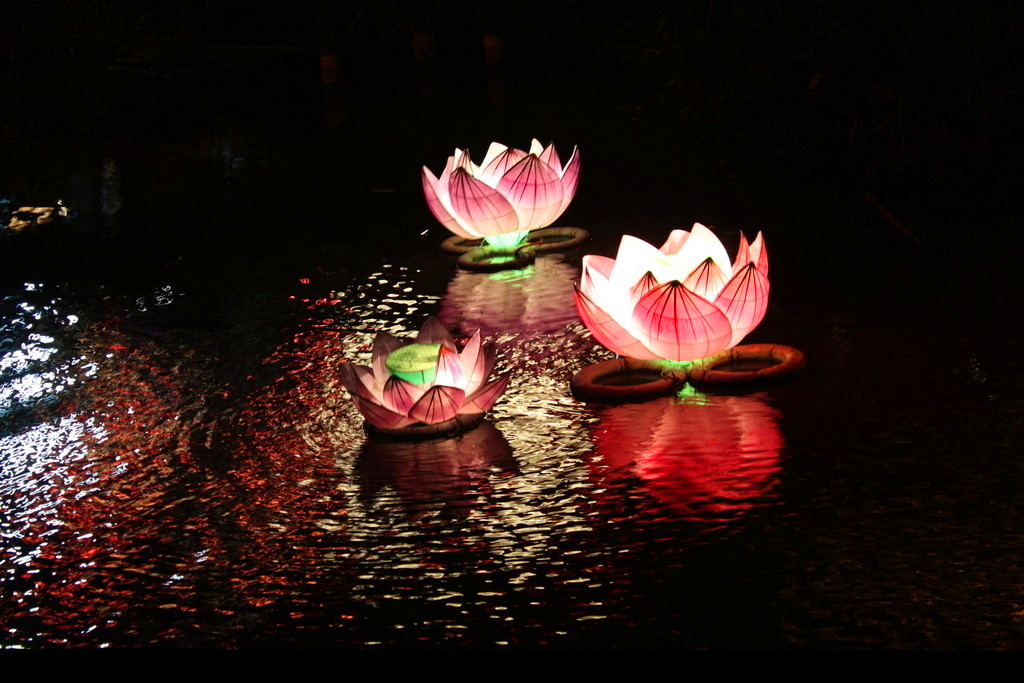 自貢花燈廠家制作新年led串燈小彩燈戶外防水節(jié)日裝飾亮化燈串閃燈批發(fā)