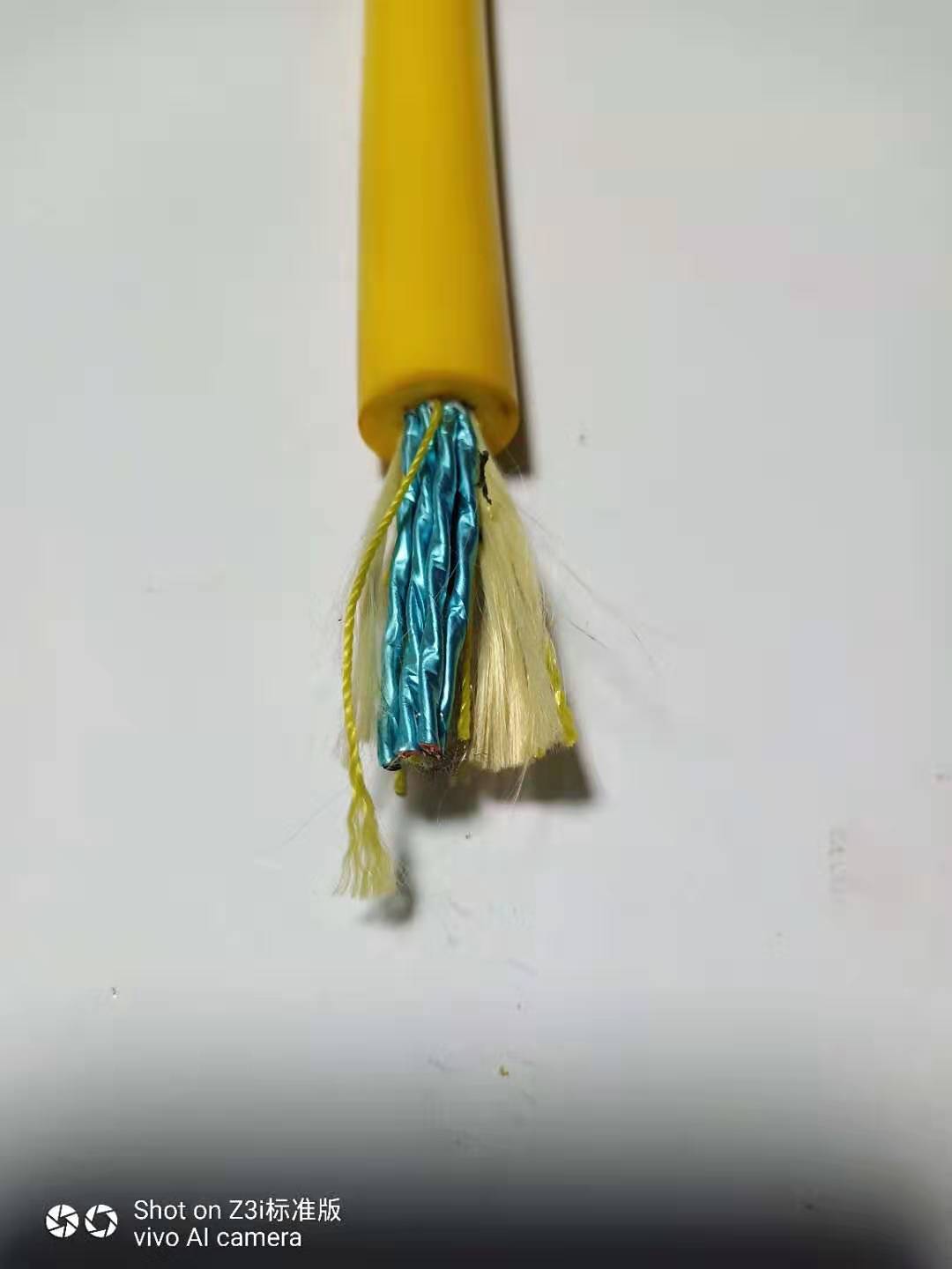 深圳海洋电缆