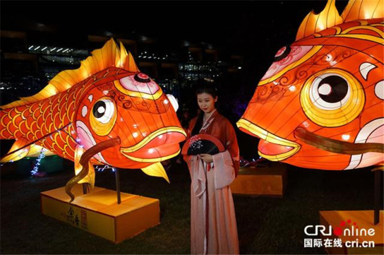 華亦彩花燈廠家定制卡通創(chuàng)意各種造型光雕花燈亮化公園景觀綠地策劃濮陽燈光節(jié)