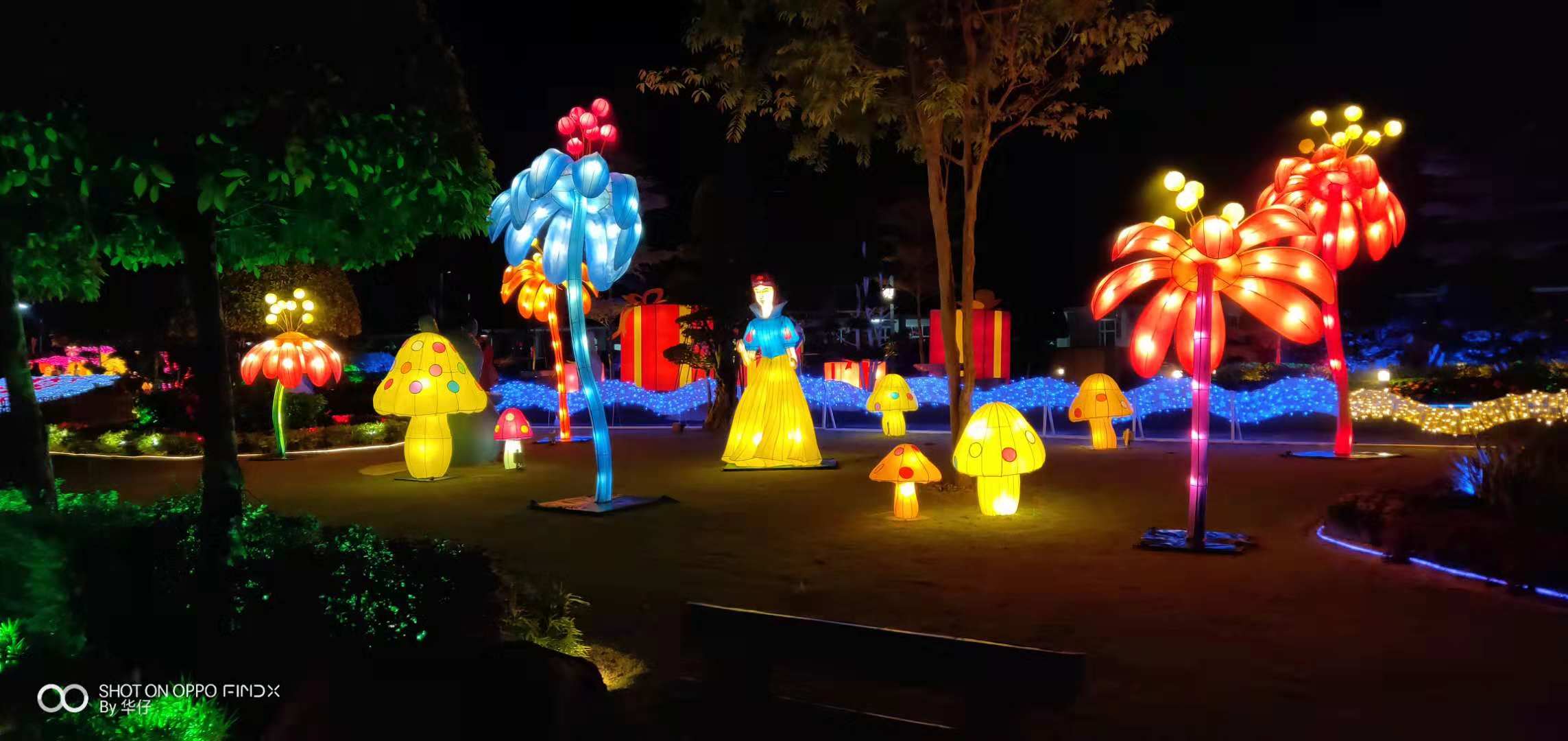 自贡华亦彩花灯源头厂家设计大型户外梦幻花海灯会展览制作创意造型花灯