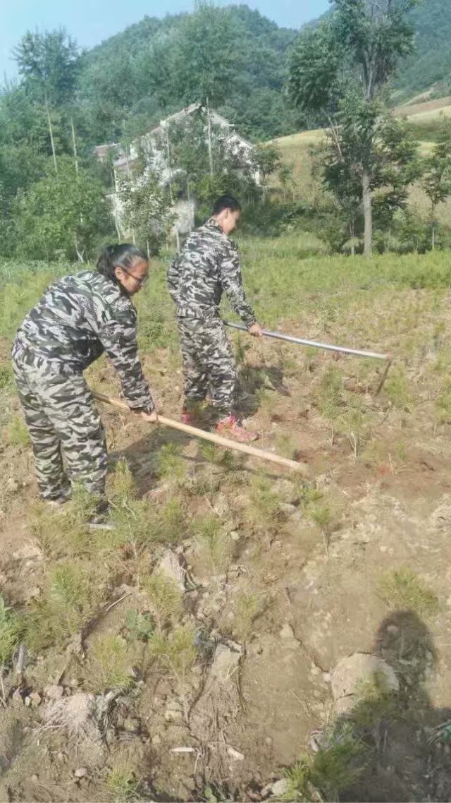 攀枝花那里有管教青少年厌学的地方