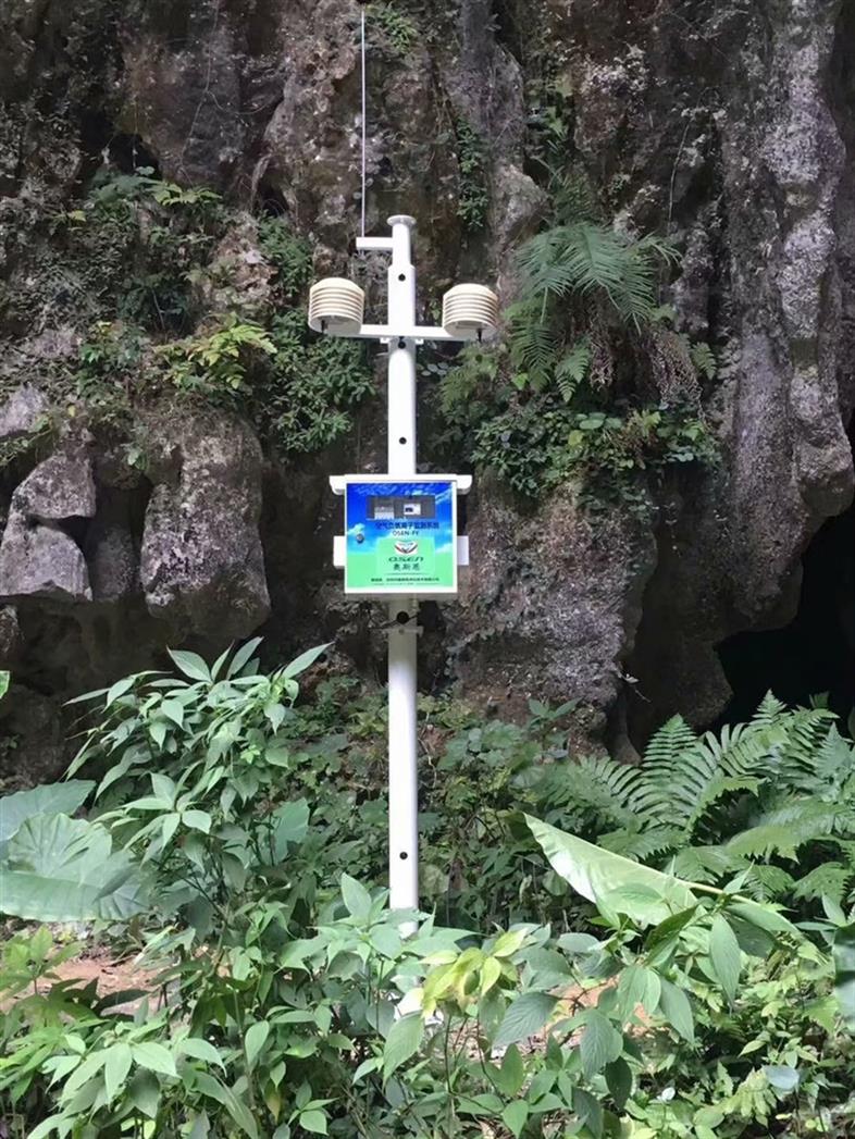 负氧离子监测系统价格
