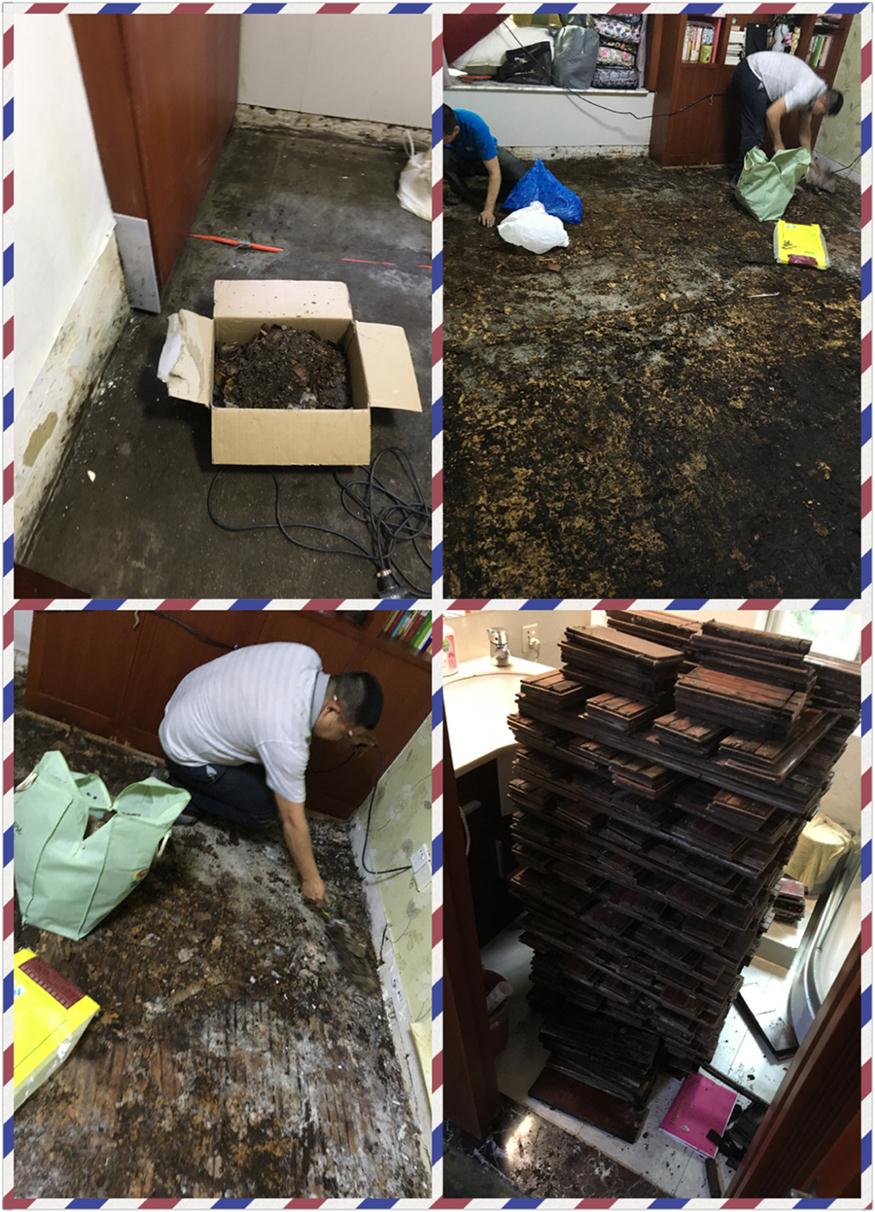 梅林一村多层木地板维修