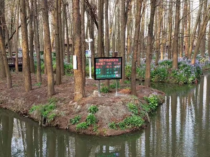 临沂负氧离子检测仪